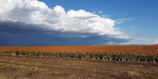 Have Your Say - Regional Drought Resilience Plan primary image