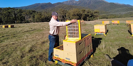 Primaire afbeelding van HiveiQ/Australian Honeybee Investor Event