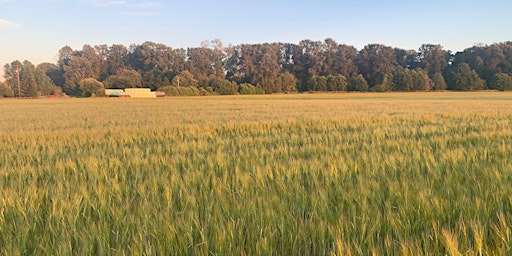 Imagem principal de Accessing Land in Western Washington