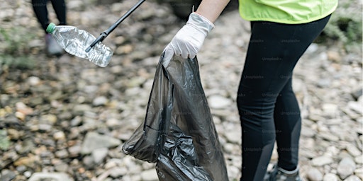 Imagem principal de Highway 169 Cleanup