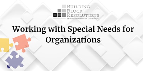 Working with Special Needs for Organizations