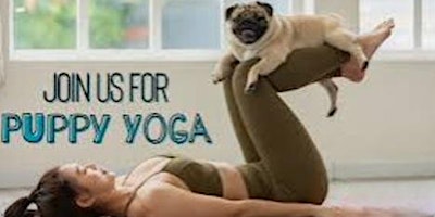 Hauptbild für PUPPY YOGA WITH PAWS RESCUE LEAGUE