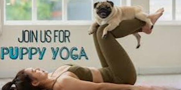 PUPPY YOGA WITH PAWS RESCUE LEAGUE
