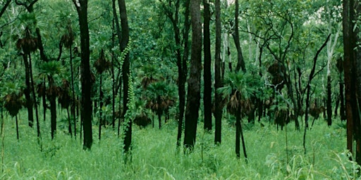 Primaire afbeelding van Kungardun bush walk