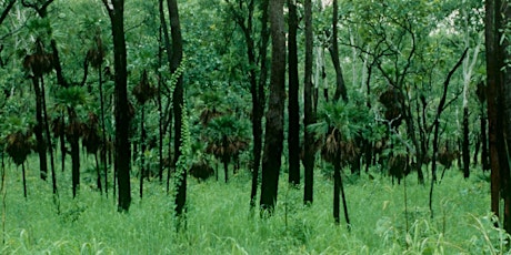 Kungardun bush walk