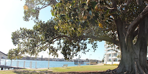 Mandurah Museum Weather