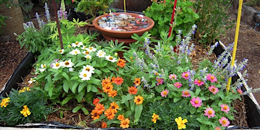 Hauptbild für Gardening in Small Spaces Woprkshop