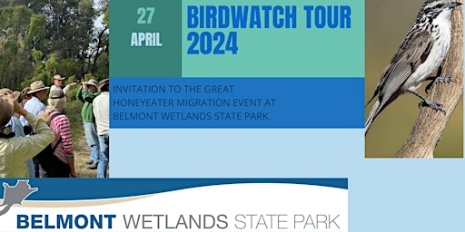 Imagen principal de Birdwatching Walk at Belmont Wetlands State Park