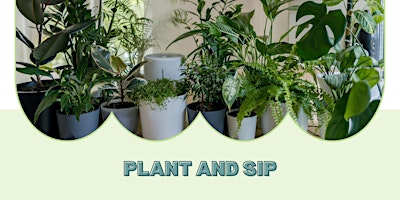 Hauptbild für Plant and Sip