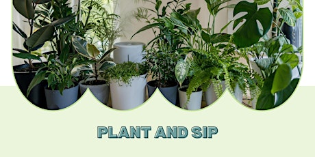 Plant and Sip