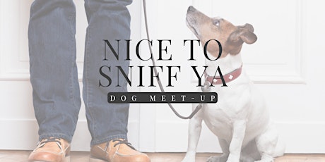 Nice to Sniff Ya: Dog Meet-Up