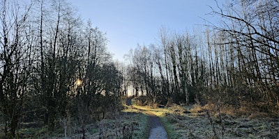 Immagine principale di Volunteer path maintenance at Easter Breich Wood, West Lothian 