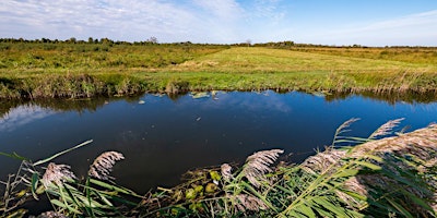 SIPC Wicken Fen Photo Walk