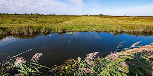 Imagem principal do evento SIPC Wicken Fen Photo Walk