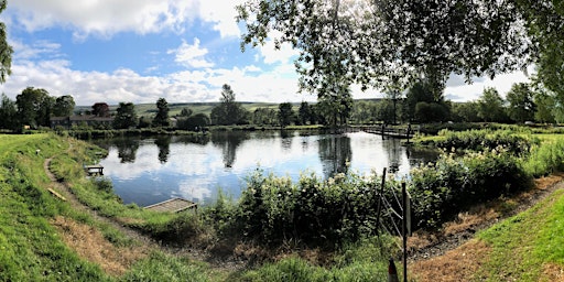 Parent and Child Fly Fishing Experience primary image