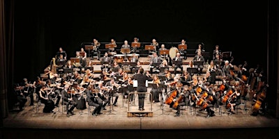Primaire afbeelding van Concerto Orchestra Università di Pisa - Giornata della solidarietà 2024