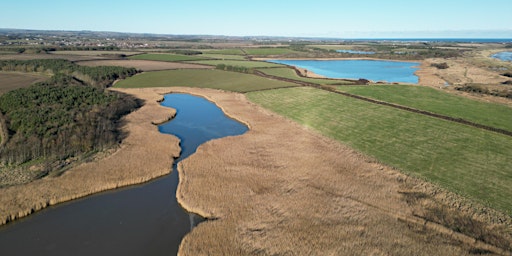 Hauptbild für Wilder Druridge project talk