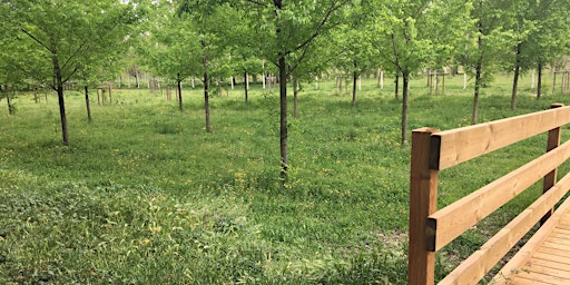 Primaire afbeelding van Picnic in Parc Charpak