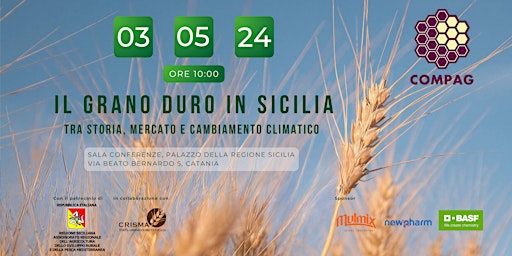 Imagem principal do evento IL GRANO DURO IN SICILIA