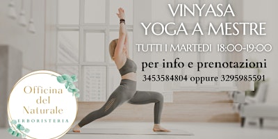 Immagine principale di Corso Vinyasa Yoga a Mestre Centro. Tutti i martedi dalle 18 alle 19 