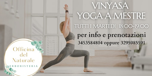 Corso Vinyasa Yoga a Mestre Centro. Tutti i martedi dalle 18 alle 19 primary image