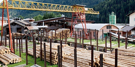 FORUM "ARTIFICIALISATION DES FORÊTS"