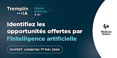 Primaire afbeelding van Infosession appel à projets Tremplin IA