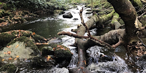 Hauptbild für Introductory Water Quality Index for Streams: Workshop