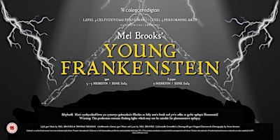 Imagen principal de Young Frankenstein - The Musical