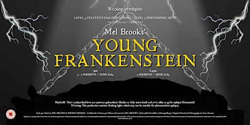 Imagem principal do evento Young Frankenstein - The Musical