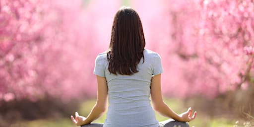 Explore Raja Yoga Meditation : Free 4-part course : 7.00pm - 8.00pm primary image