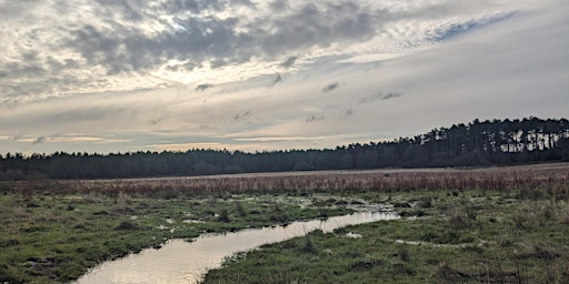 Introduction to rewilding walk  primärbild