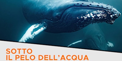 Imagem principal de Sotto il pelo dell'acqua