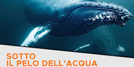 Imagem principal do evento Sotto il pelo dell'acqua