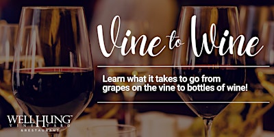 Imagem principal do evento Vine to Wine at Well Hung Vineyard