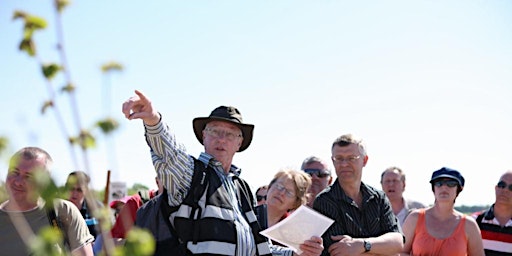 Primaire afbeelding van Brockholes Reserve Tour - Sunday 28 April 2024