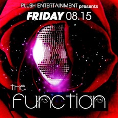 The Function - An Arts & Music Experience - Benefiting Suncoast Charities for Children primary image