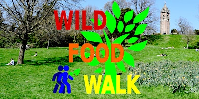 Hauptbild für May Brandon Hill Park (Bristol) Wild Food Foraging/ Forager Walk.