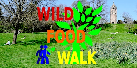 May Brandon Hill Park (Bristol) Wild Food Foraging/ Forager Walk.