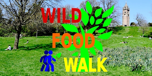 May Brandon Hill Park (Bristol) Wild Food Foraging/ Forager Walk. primary image