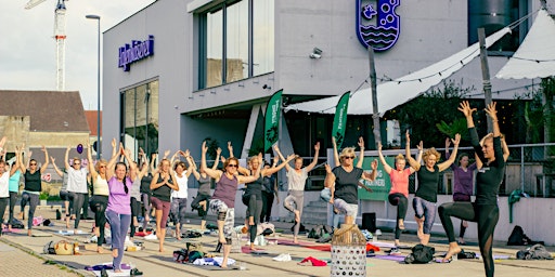 Hauptbild für Sundowner-Yoga-Picknick @Hafenkäserei Vol.2