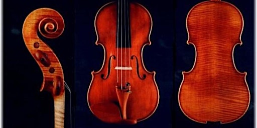 Immagine principale di ADI VIOLON 2024 