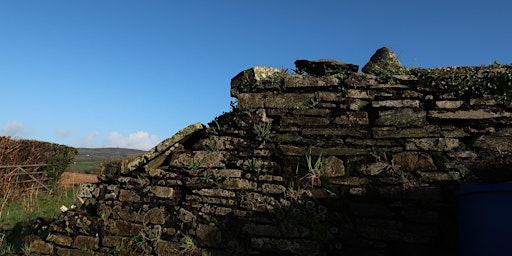 Primaire afbeelding van 2-Day Stone walling course at Lower Metherell (Weekend 2/3)