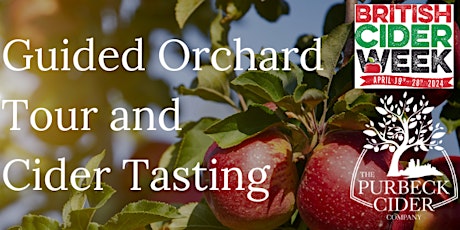 Purbeck Cider guided orchard tour and cider tasting