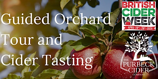 Purbeck Cider guided orchard tour and cider tasting primary image