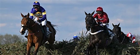 Imagem principal do evento Day out at Leicester Races!