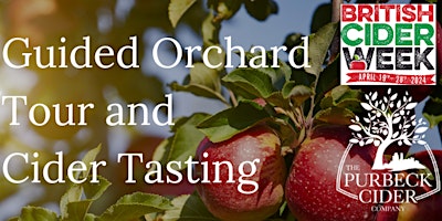 Purbeck Cider Guided Orchard Tour and Cider Tasting primary image