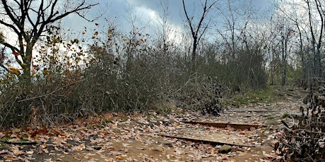 Highbridge Park Super Steward: Trail Maintainer Training