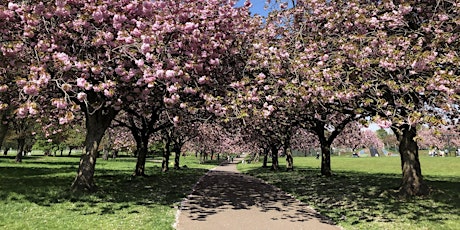 Photo City: Photo Walk 2 - Dawson Park and Broughty Ferry