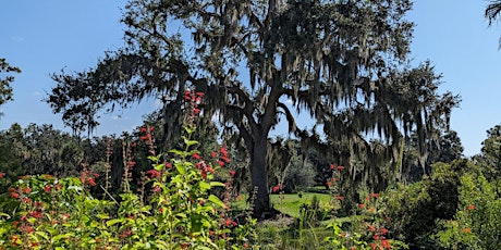 Demonstration Garden Tour: Twin Lakes Park